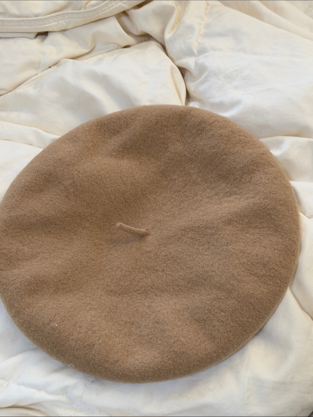 Aritzia Tan Wool Beret